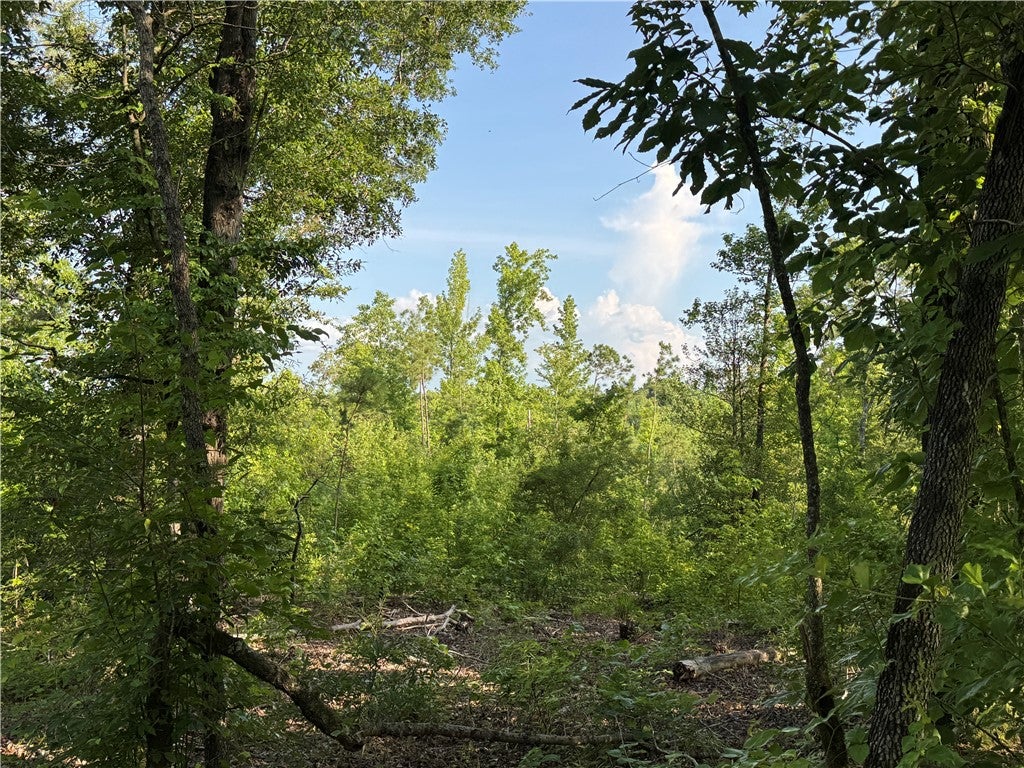 0 Trimble Road Camp Hill, AL 36850 - Photo 3 of 14 Gallery Image 3