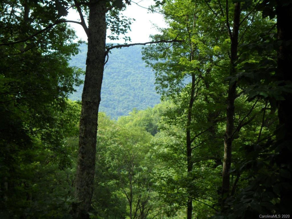624 Bent Tree Road Maggie Valley, NC 28751 - Photo 38 of 48 a view of a garden with plants