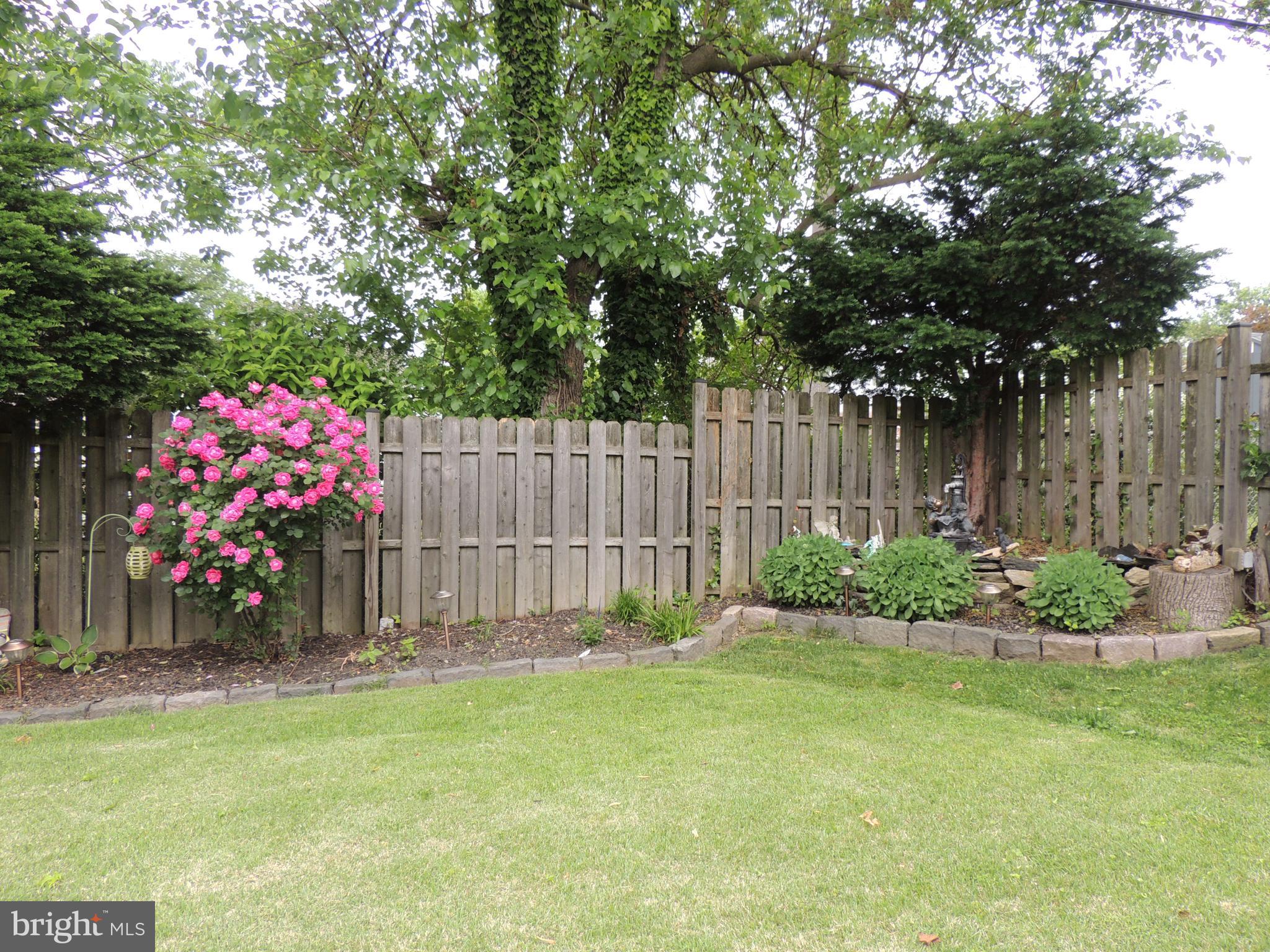 484 Maplewood Road Springfield, PA 19064 - Photo 11 of 62