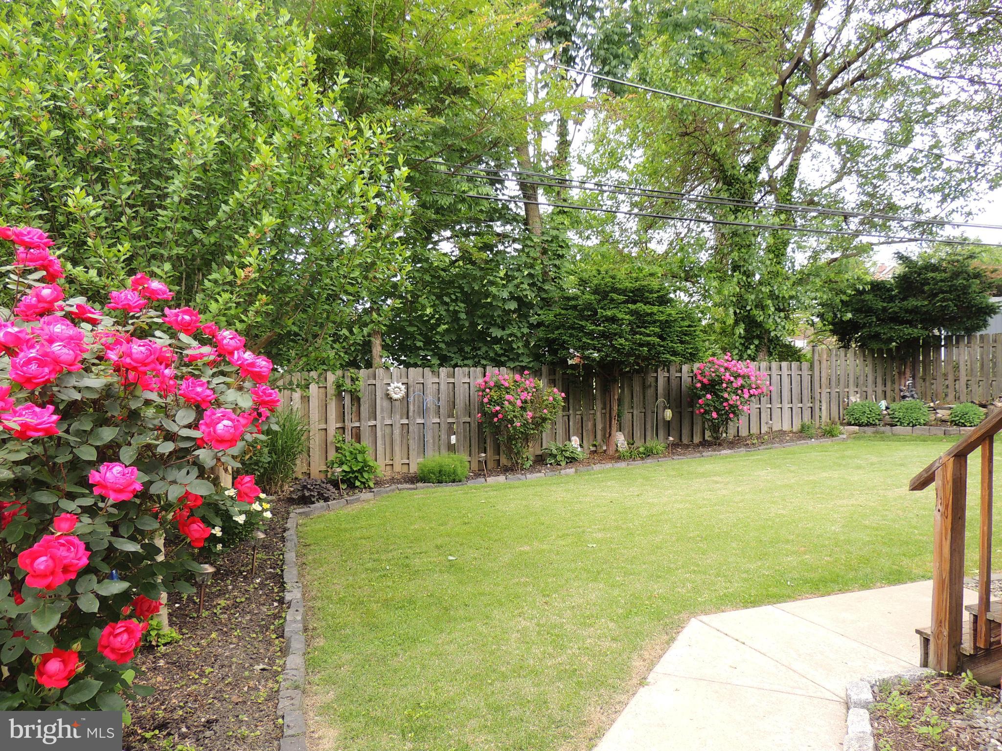 484 Maplewood Road Springfield, PA 19064 - Photo 14 of 62