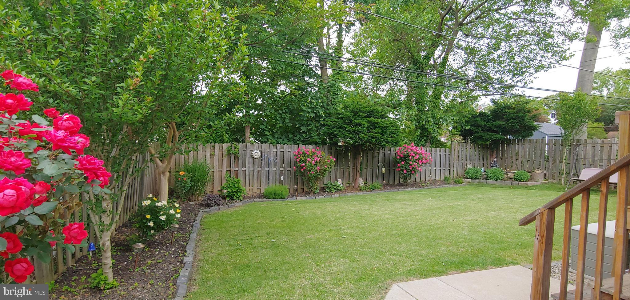 484 Maplewood Road Springfield, PA 19064 - Photo 8 of 62