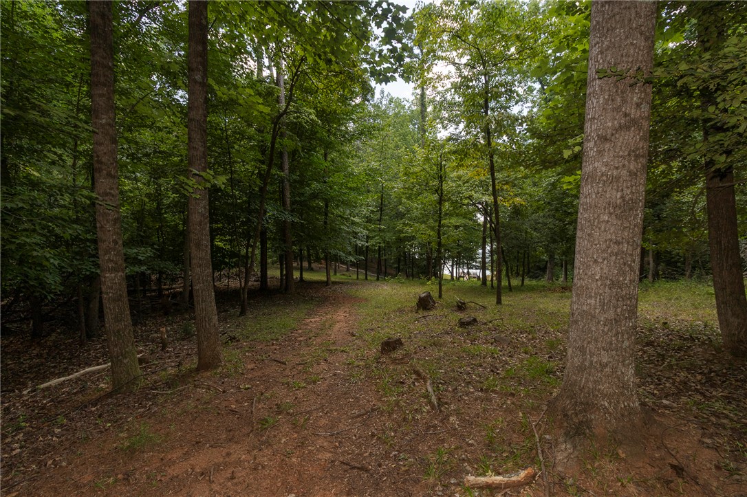 125 Inlet Pointe Drive Anderson, SC 29625 - Photo 37 of 39 A tranquil path winds through a mature forest, revealing a glimpse of the lake