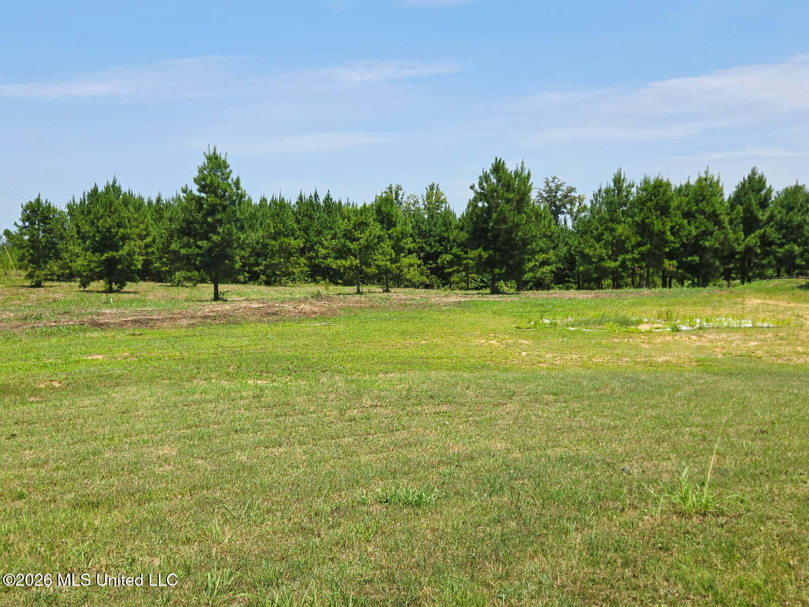 399 Stump Ridge Road Brandon, MS 39047 - Photo 46 of 46 image00000173