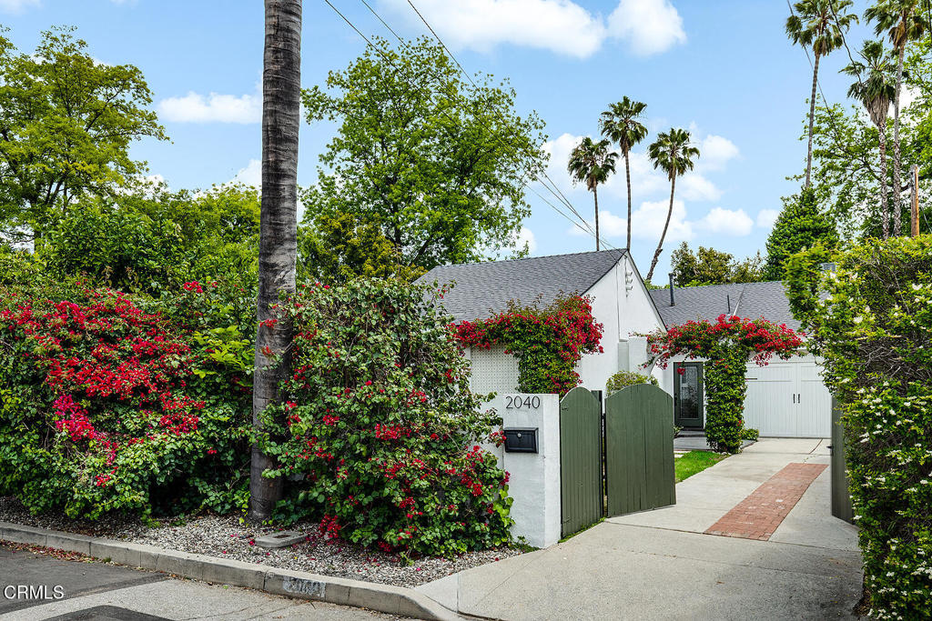 a view of a garden with flowers
