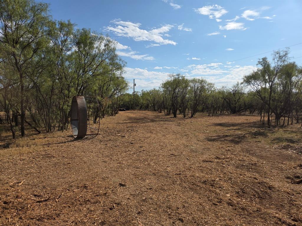 6525 Highway 180 Anson, TX 79501 - Photo 11 of 15