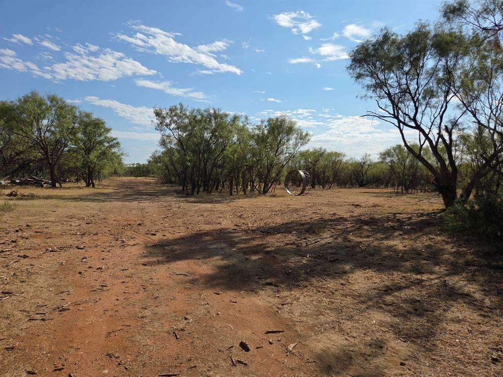6525 Highway 180 Anson, TX 79501 - Photo 12 of 15