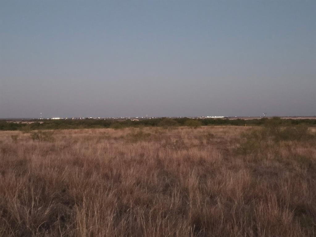 6525 Highway 180 Anson, TX 79501 - Photo 13 of 15