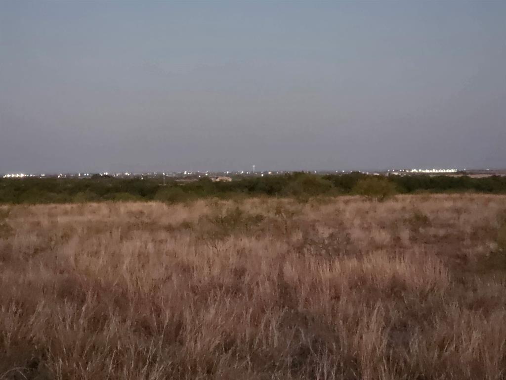 6525 Highway 180 Anson, TX 79501 - Photo 14 of 15