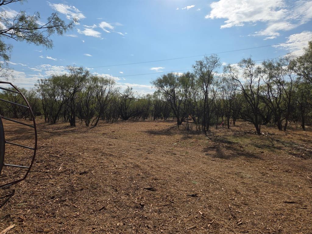 6525 Highway 180 Anson, TX 79501 - Photo 3 of 15