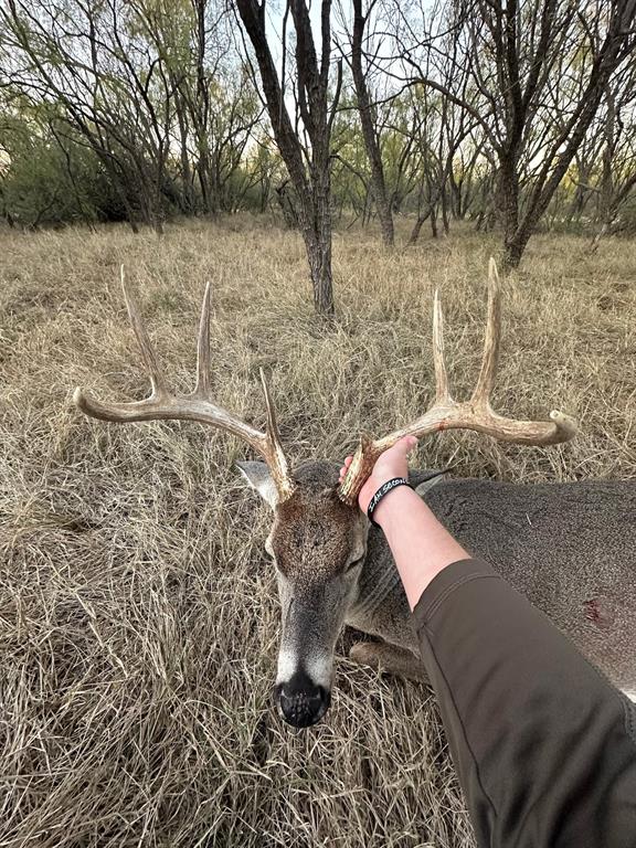 6525 Highway 180 Anson, TX 79501 - Photo 4 of 15