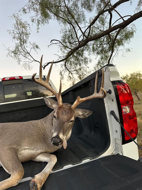 6525 Highway 180 Anson, TX 79501 - Photo 5 of 15