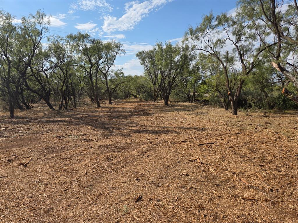 6525 Highway 180 Anson, TX 79501 - Photo 6 of 15