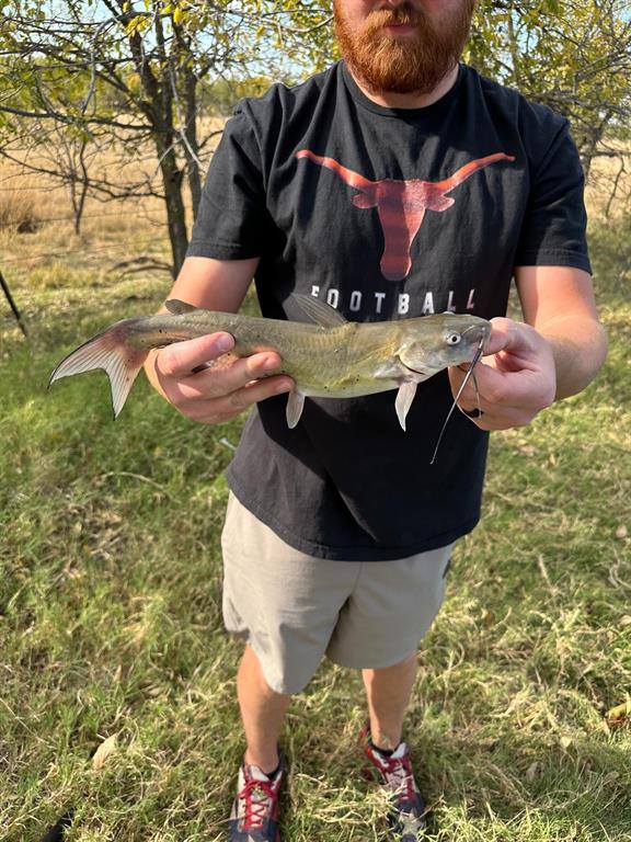 6525 Highway 180 Anson, TX 79501 - Photo 7 of 15