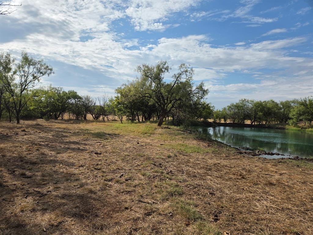 6525 Highway 180 Anson, TX 79501 - Photo 8 of 15