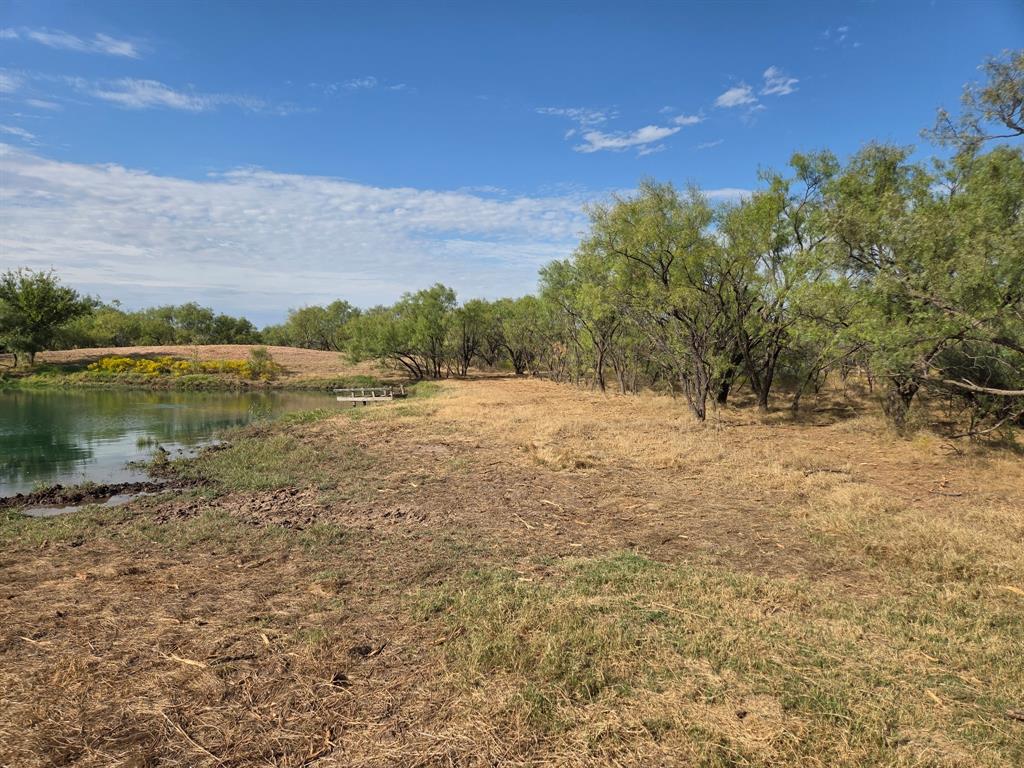 6525 Highway 180 Anson, TX 79501 - Photo 10 of 15