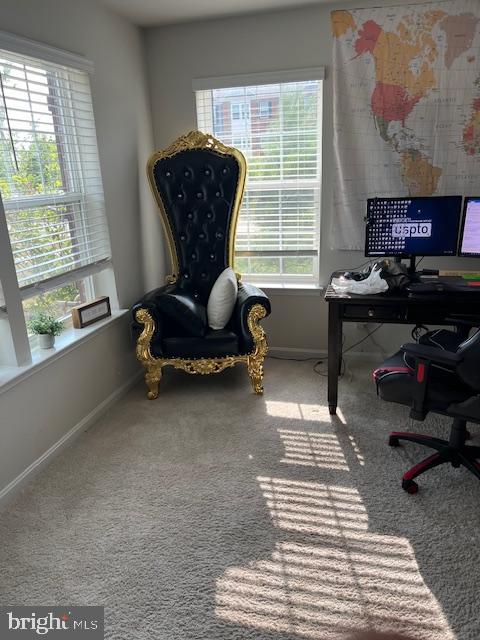 9800 Ruby Lockhart Boulevard Bowie, MD 20721 - Photo 5 of 19 Lower Level Office/Family Room