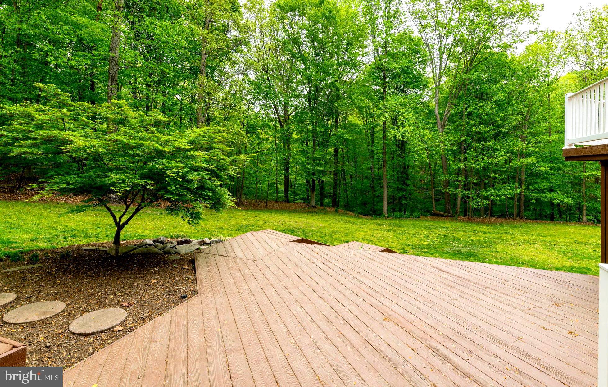 3103 Arrowhead Farms Road Gambrills, MD 21054 - Photo 27 of 55 Nature's Privacy Fence of Mature Woodland