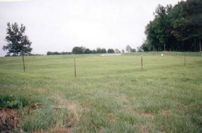 88888 Box Ankle Road Richmond, KY 40475 - Photo 6 of 14 Photo 6