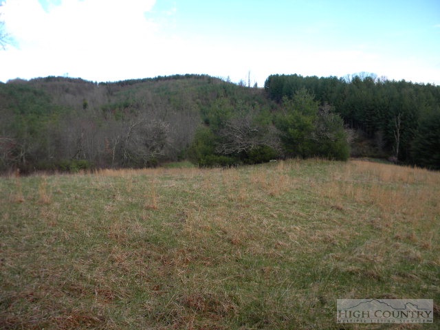 Lot 33 Cooper Cove Road Crumpler, NC 28617 - Photo 1 of 1 Gallery Image 1