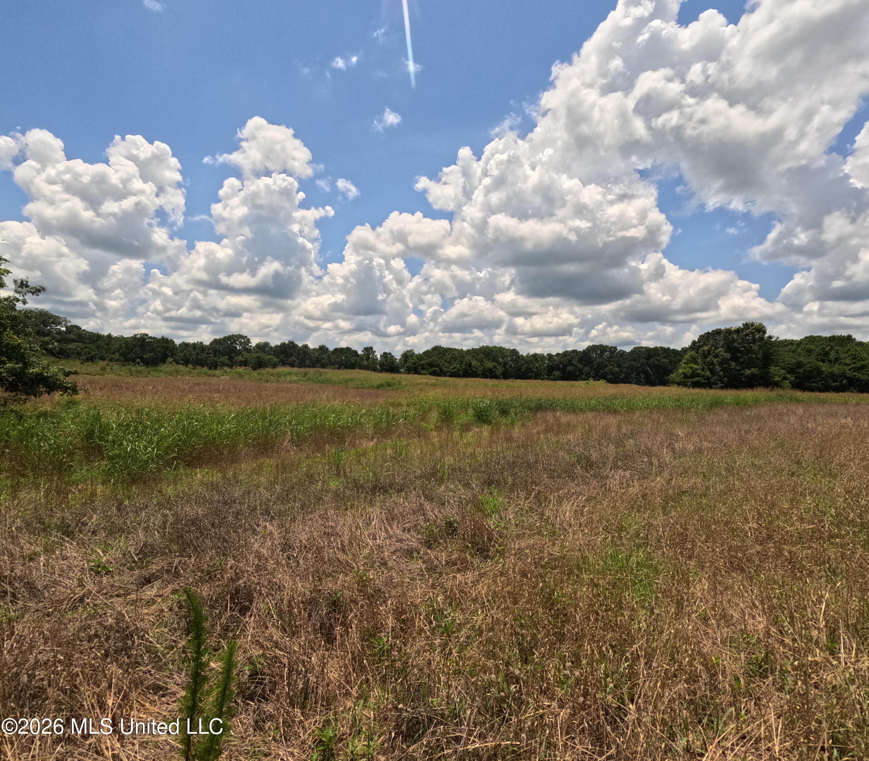 Old Port Edwards, MS 39066 - Photo 29 of 65 GOPR2236