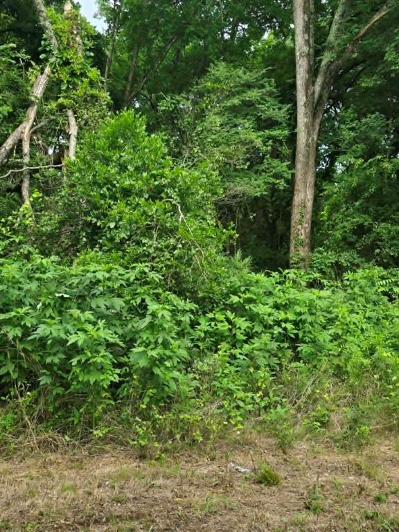 Tbd Sellars Street Daingerfield, TX 75638 - Photo 1 of 4