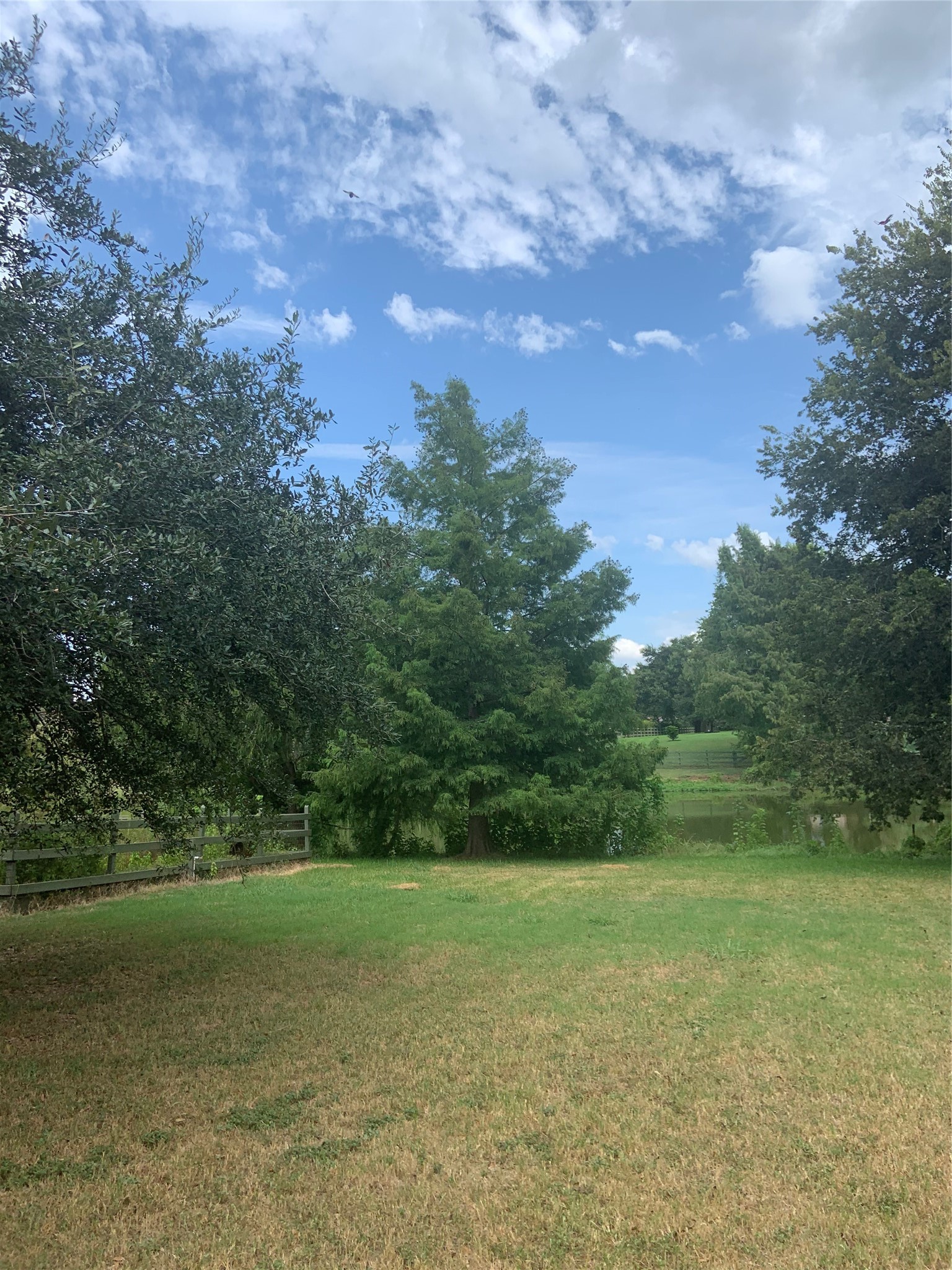 31318 Lower Oxbow Trace Fulshear, TX 77441 - Photo 2 of 4 a view of a field with trees in background