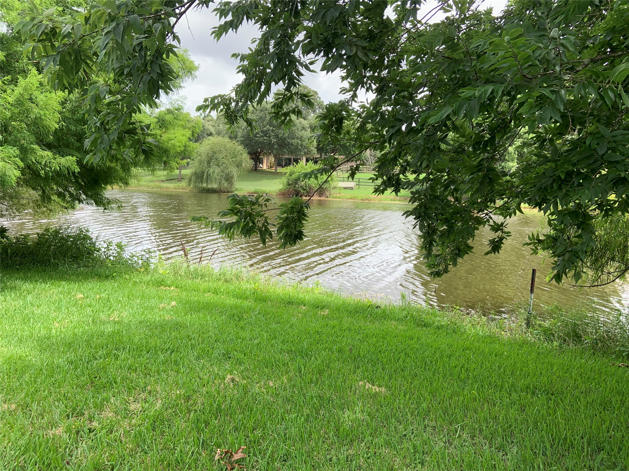 31318 Lower Oxbow Trace Fulshear, TX 77441 - Photo 3 of 4 a view of a lake with a yard and large trees