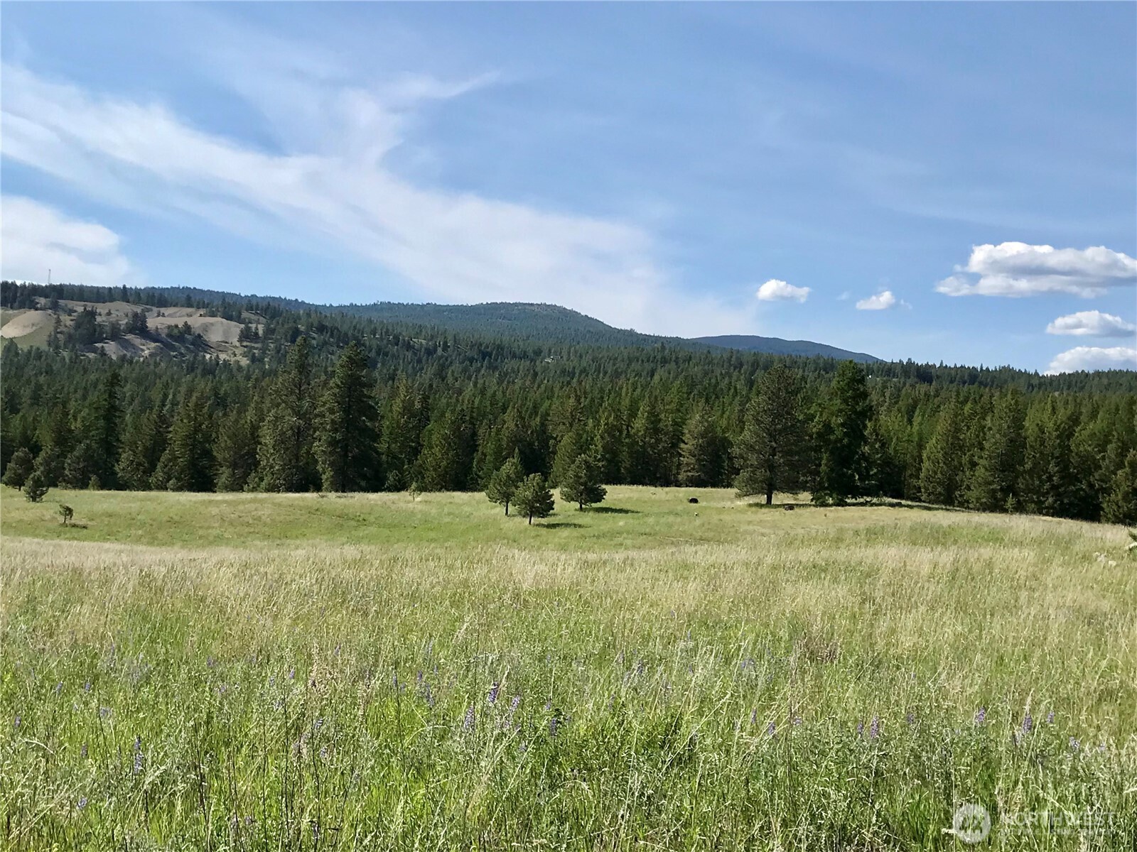 513-9 Mile Road Oroville, WA 98844 - Photo 9 of 28 Gallery Image 9