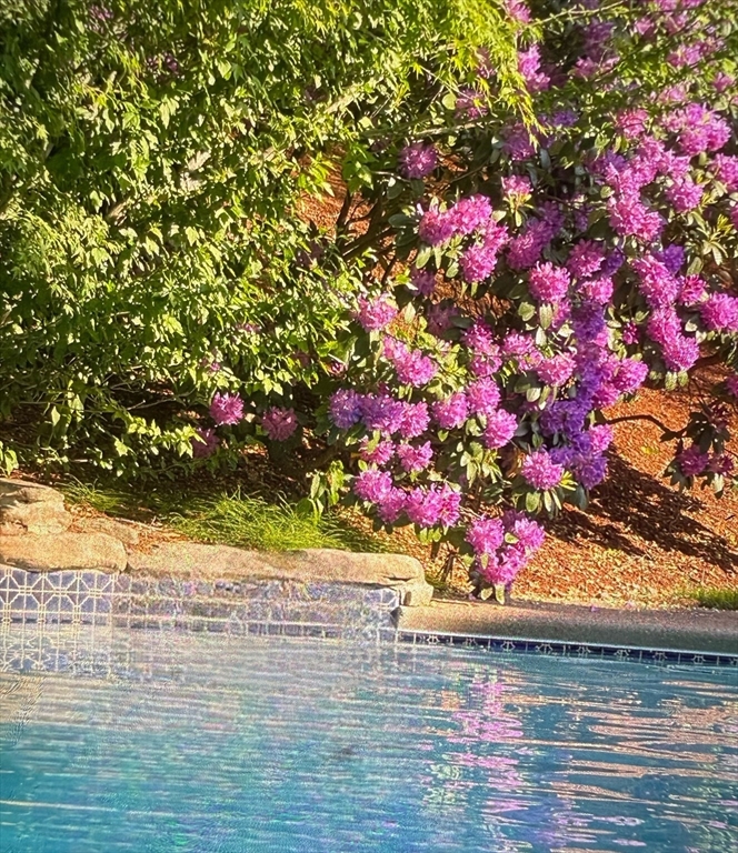 35 Firebrick Road Sharon, MA 02067 - Photo 36 of 41