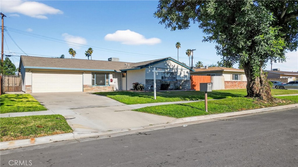 a view of a house with a big yard plants and palm trees