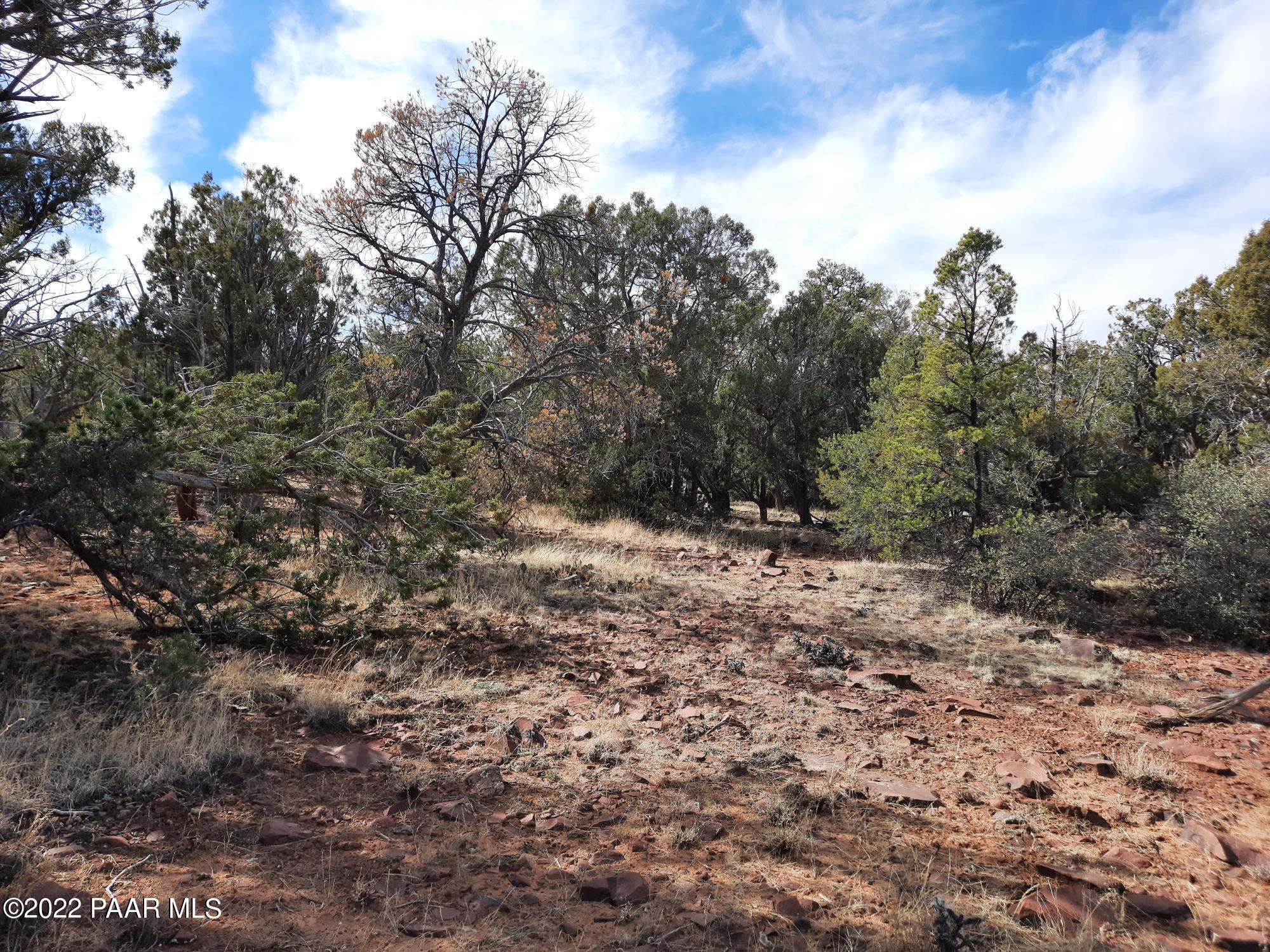 Lot 53 Shadow Rock Ranch Seligman, AZ 86337 - Photo 11 of 17 20220215_135554