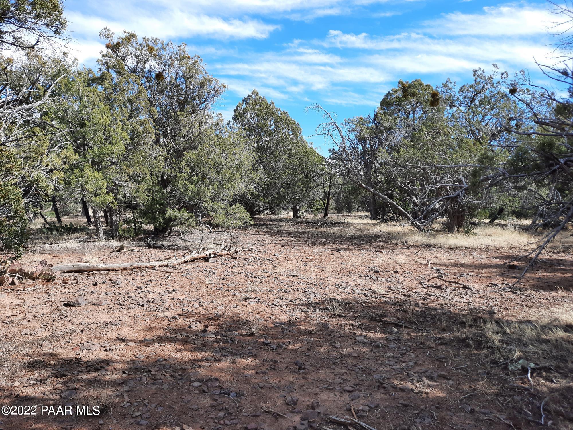 Lot 53 Shadow Rock Ranch Seligman, AZ 86337 - Photo 12 of 17 20220215_135813
