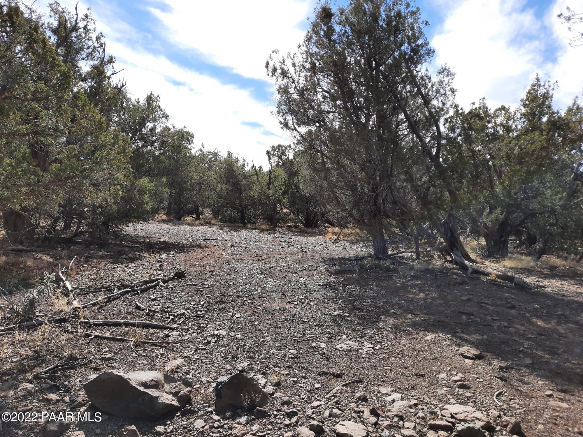 Lot 53 Shadow Rock Ranch Seligman, AZ 86337 - Photo 14 of 17 20220215_140015