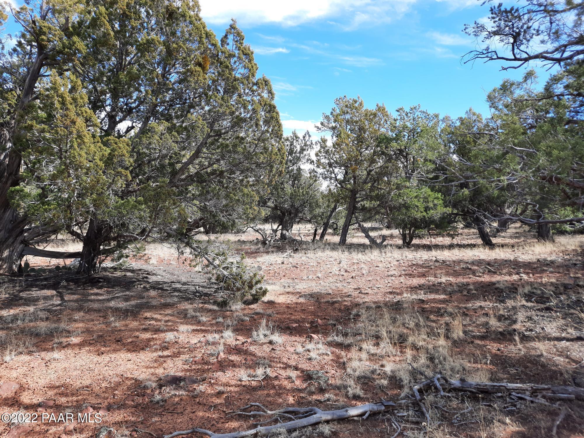 Lot 53 Shadow Rock Ranch Seligman, AZ 86337 - Photo 2 of 17 20220215_135259