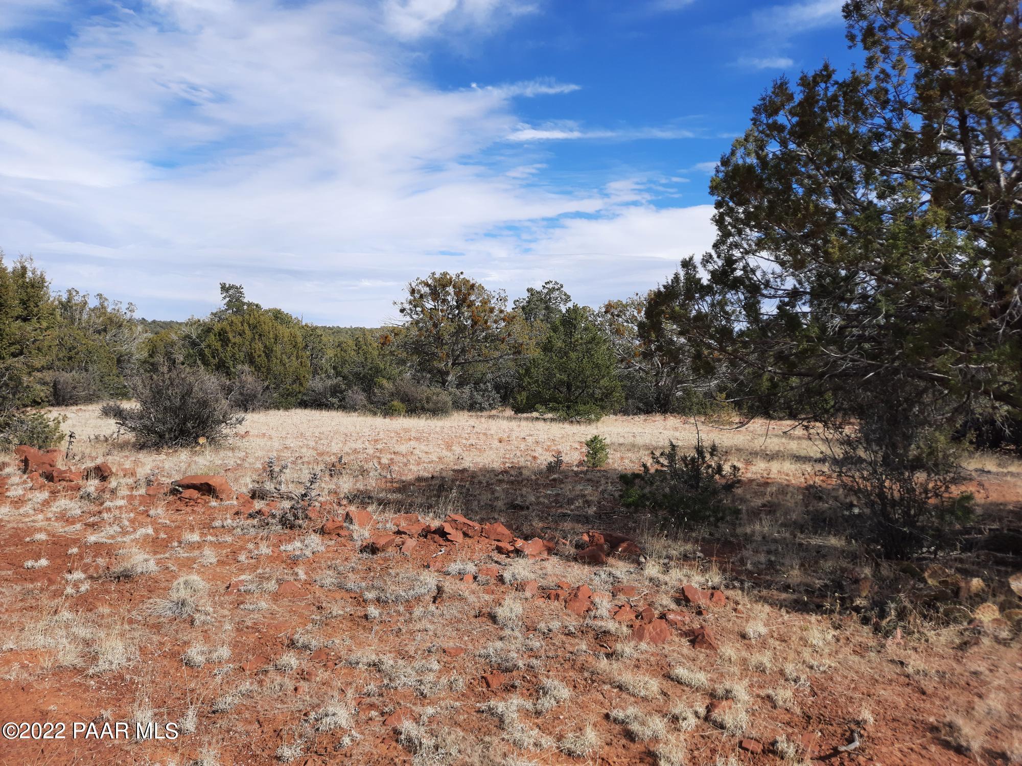 Lot 53 Shadow Rock Ranch Seligman, AZ 86337 - Photo 4 of 17 20220215_134404