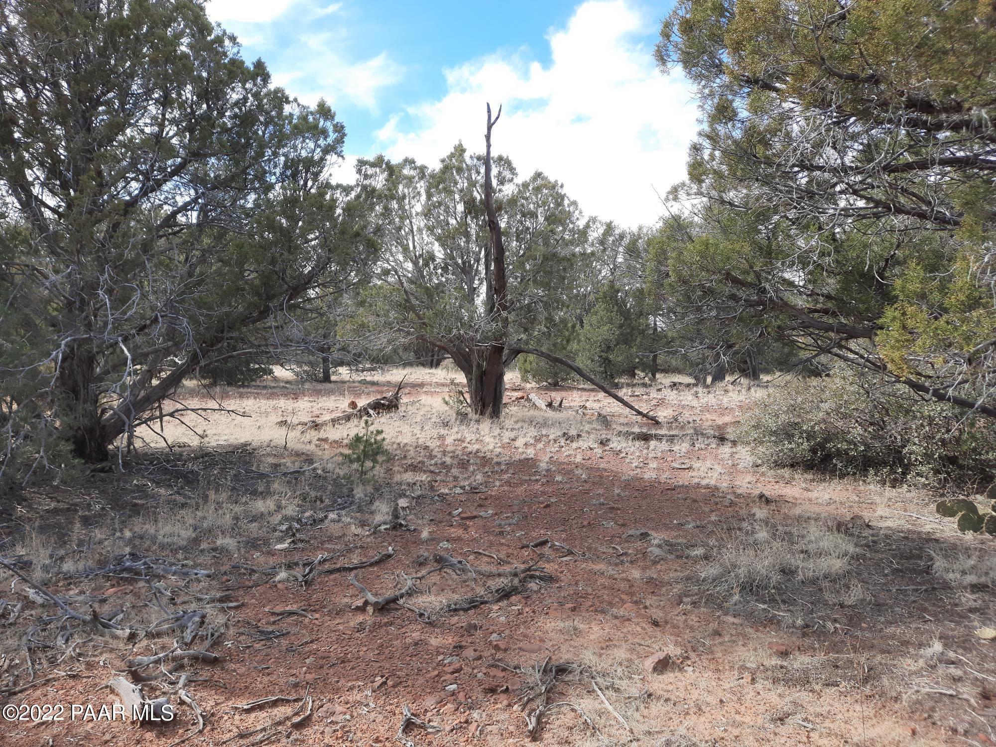 Lot 53 Shadow Rock Ranch Seligman, AZ 86337 - Photo 5 of 17 20220215_134824