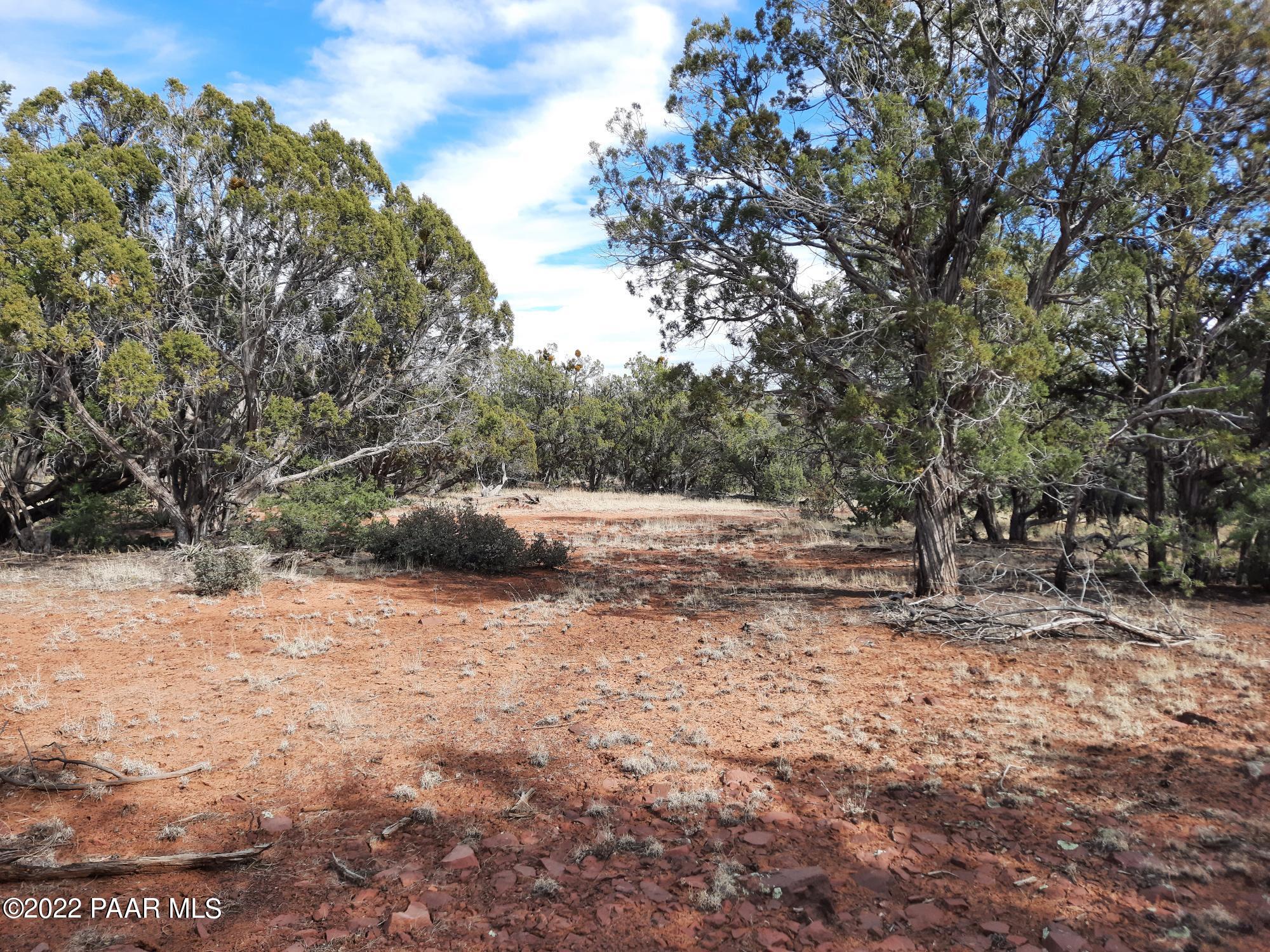 Lot 53 Shadow Rock Ranch Seligman, AZ 86337 - Photo 6 of 17 20220215_135319