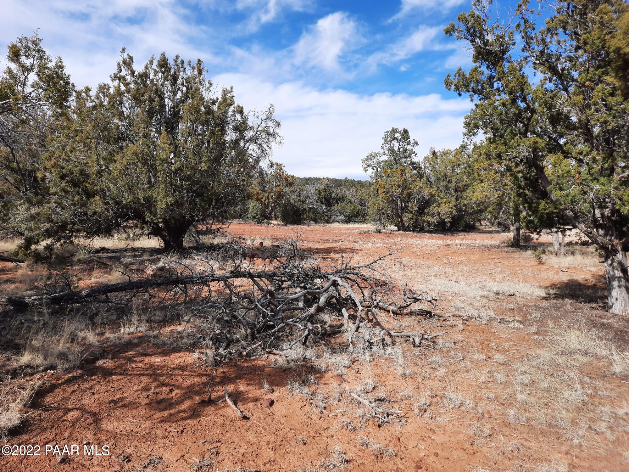 Lot 53 Shadow Rock Ranch Seligman, AZ 86337 - Photo 7 of 17 20220215_135338