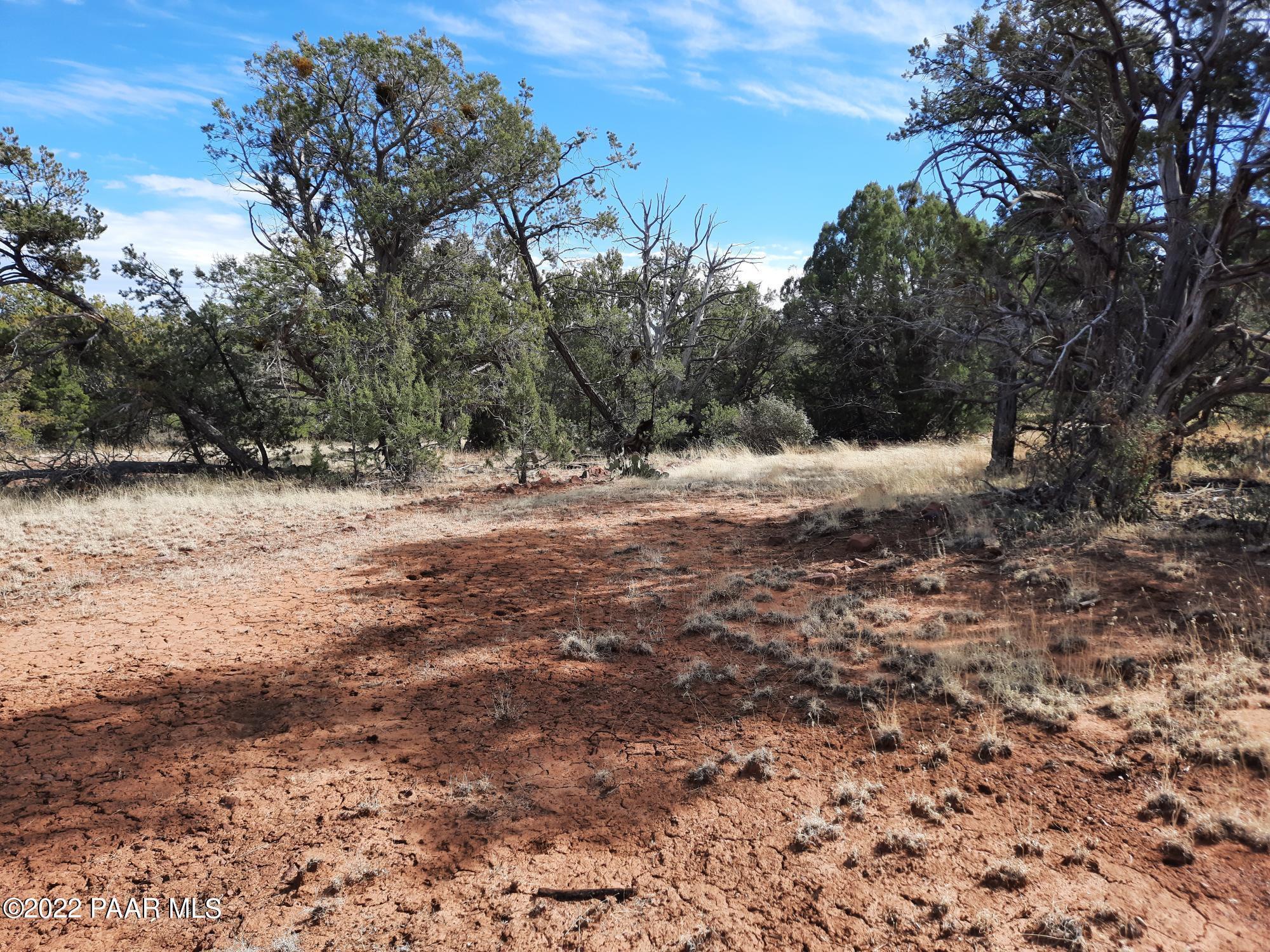 Lot 53 Shadow Rock Ranch Seligman, AZ 86337 - Photo 8 of 17 20220215_135405