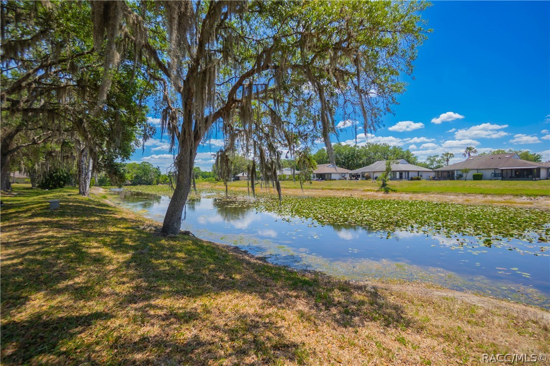 127 North Golf Harbor Path Inverness, FL 34450 - Photo 35 of 56