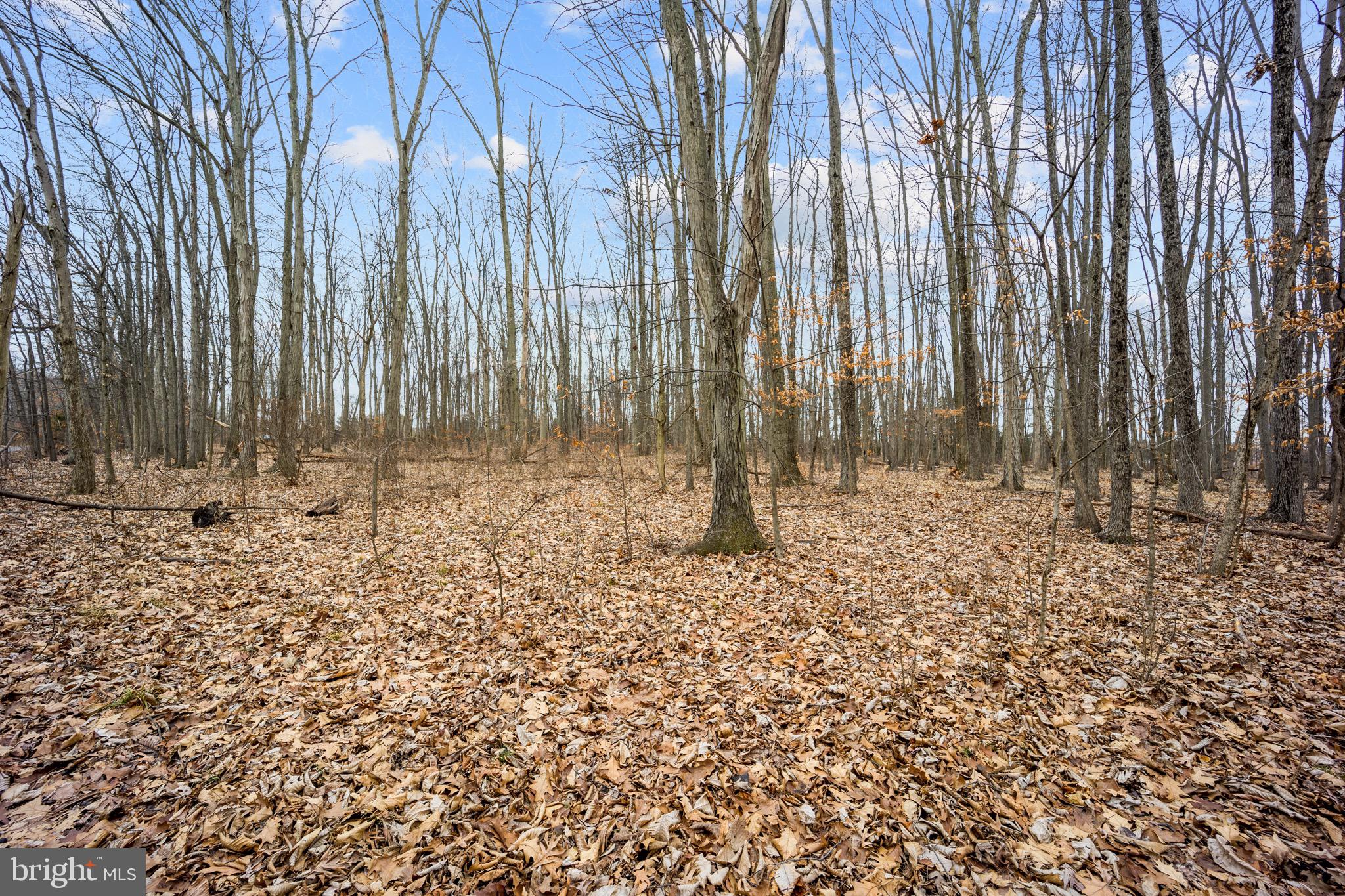 735 Creamery Road Quakertown, PA 18951 - Photo 2 of 3