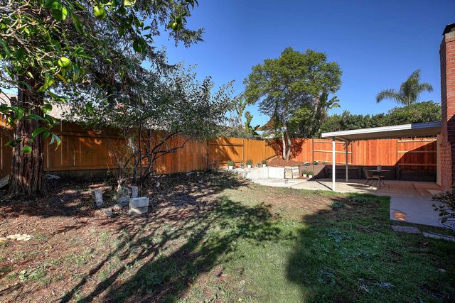 a view of a backyard with large trees