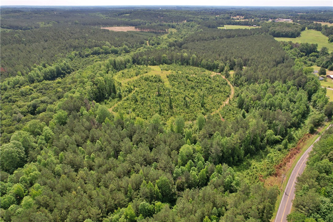 Lot 5 Simms School Road Central, SC 29630 - Photo 12 of 17