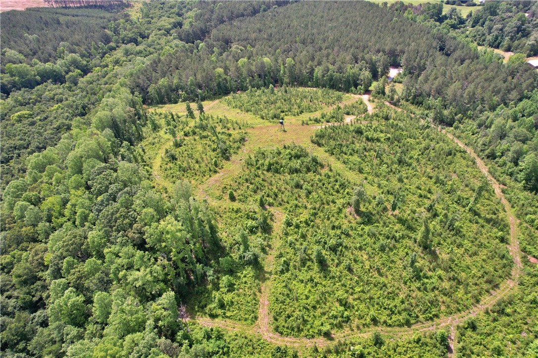 Lot 5 Simms School Road Central, SC 29630 - Photo 10 of 17