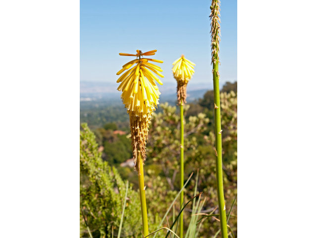 15401 Bohlman Road Saratoga, CA 95070 - Photo 24 of 25 Gallery Image 24