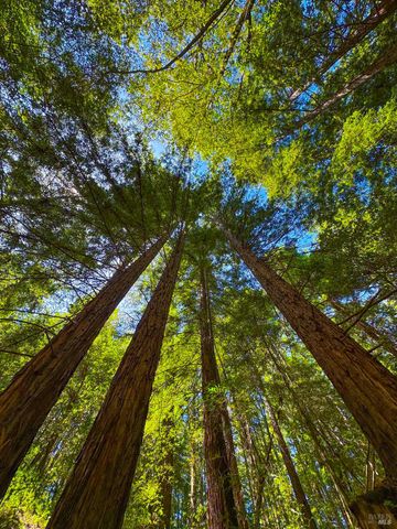 $12,000,000 | 3150 Mill Creek Road, Healdsburg, CA 95448