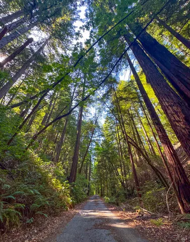 $12,000,000 | 3150 Mill Creek Road, Healdsburg, CA 95448