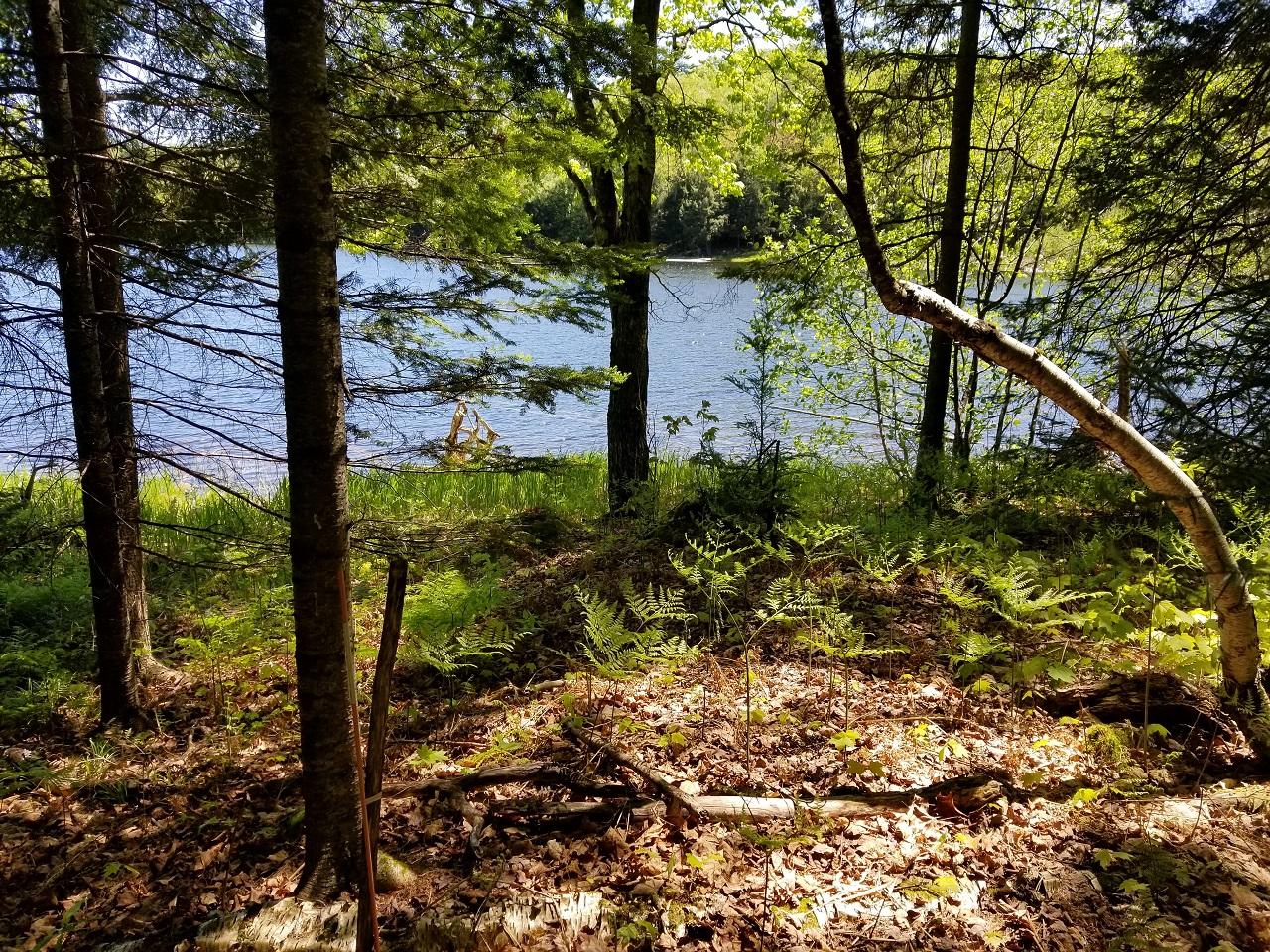 Lot 4 Pardee Lake Road Presque Isle, WI 54557 - Photo 6 of 25 Gallery Image 6