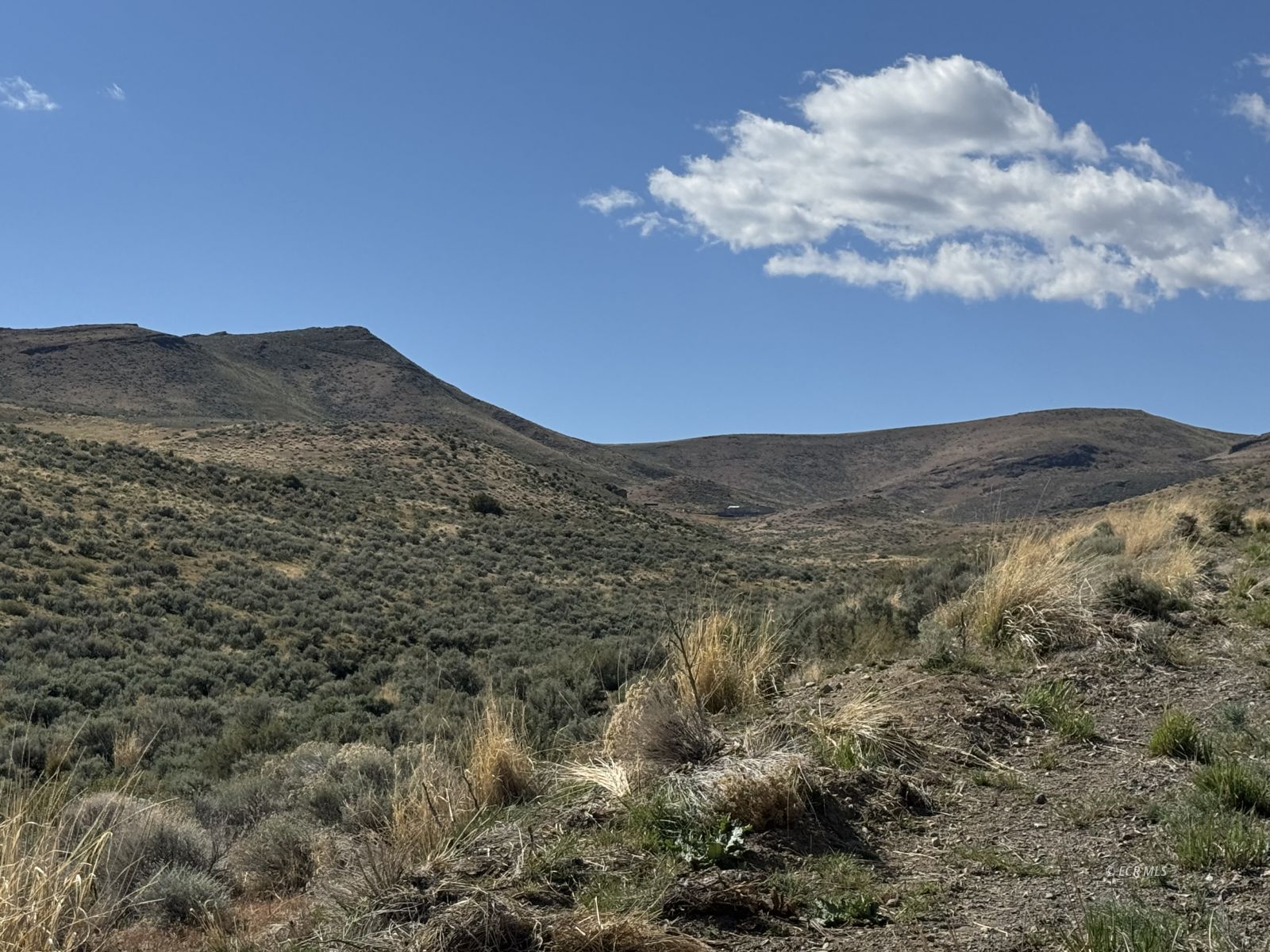 Snobowl Road Elko, NV 89801 - Photo 6 of 20