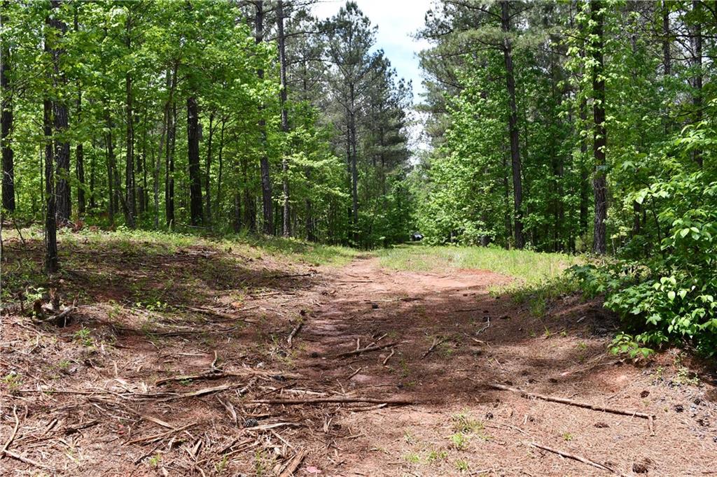 1 Wilson Road Temple, GA 30179 - Photo 47 of 88 a view of outdoor space with trees